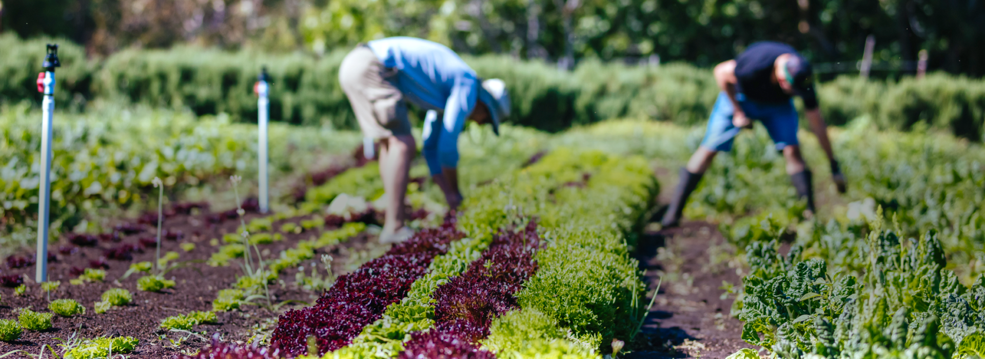 特定技能外国人の受け入れならFloritiocイメージ01