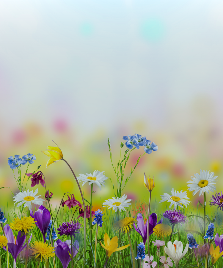 特定技能外国人の受け入れならFloritiocイメージ05